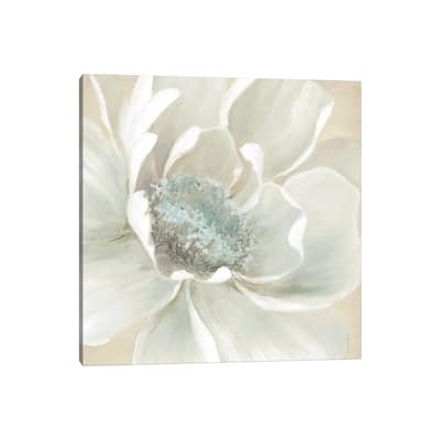 iCanvas "Winter Blooms I" by Carol Robinson Canvas Print