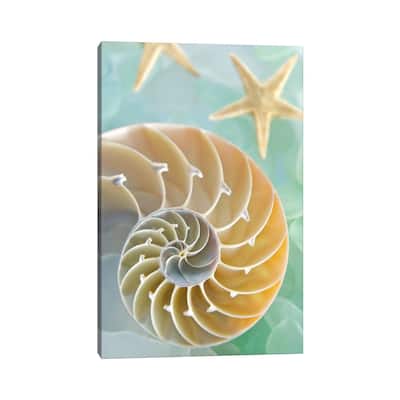 iCanvas "Seaglass 2" by Alan Blaustein Canvas Print