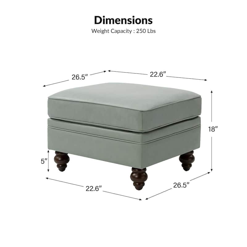 Irene Contemporary Genuine Leather Water Resistant Ottoman by HULALA HOME