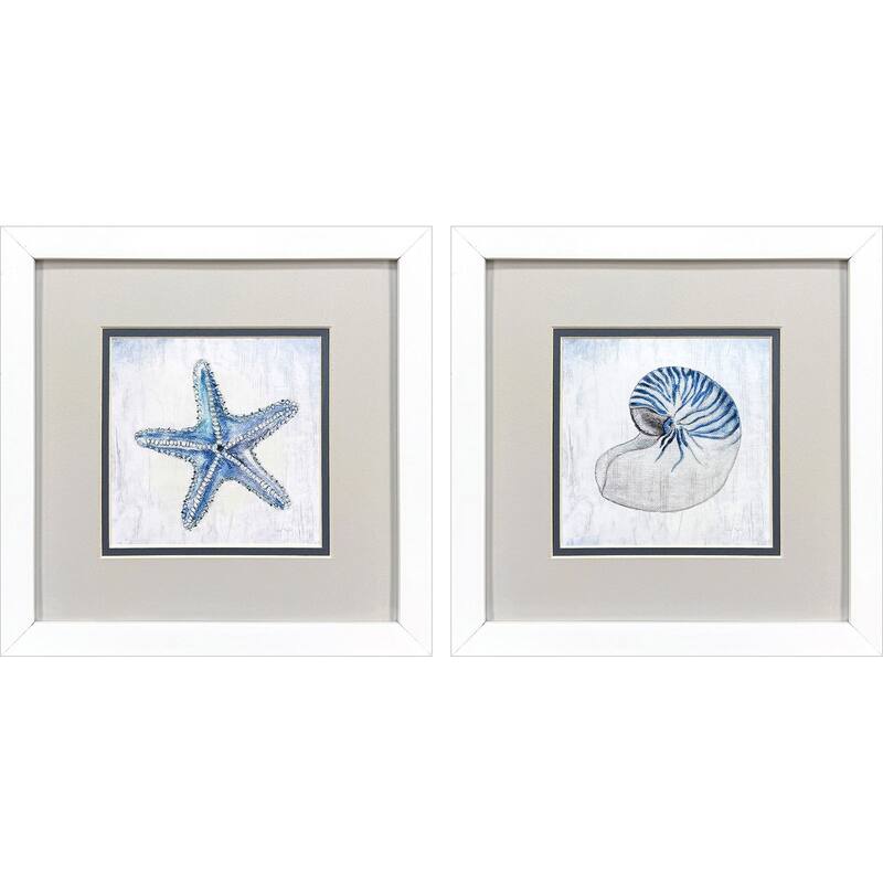 HomeRoots Set Of Two Azure Shell White Framed Wall Art