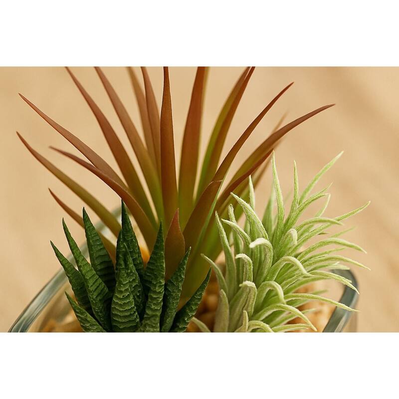 HomeStock Aloe and Easter Grass in Glass Cube - Compact Faux Greenery for Seasonal or Year-Round Use - 6