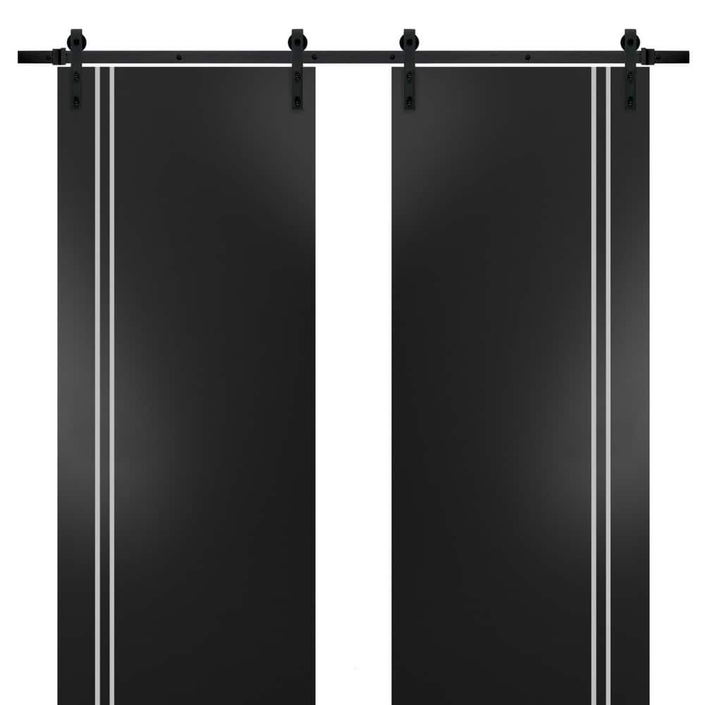 Sturdy Double Barn Door 36 x 80 with Planum 0310 Matte Black with 13FT