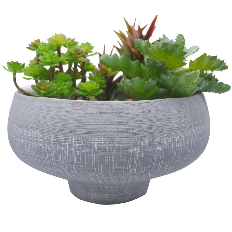Succulent Plant Flower Ceramic Pot Green/ Blue Succulent Plant Flower Ceramic Pot Green/ Blue