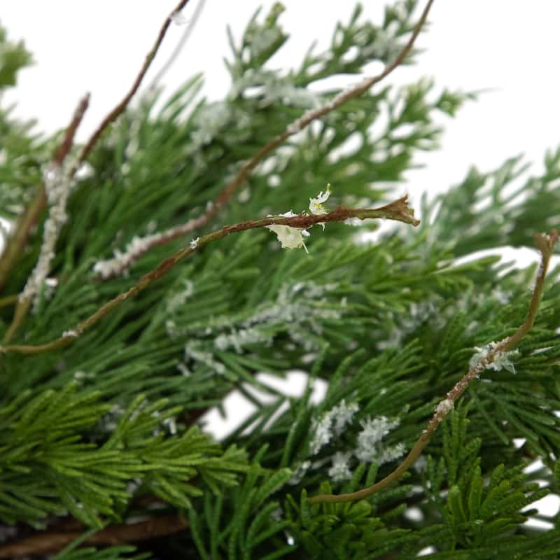 real touch™️ iced cedar artificial christmas wreath 24" unlit