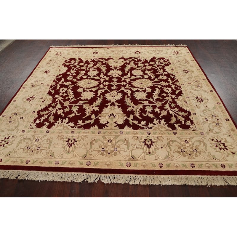 Vegetable Dye Floral Agra Oriental Area Rug Hand-knotted Wool Carpet - 7'1" x 7'1" Square