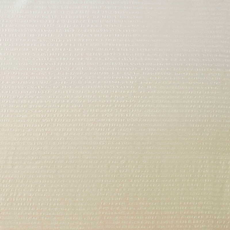 Madison Park Loire Ombre Printed Seersucker Shower Curtain