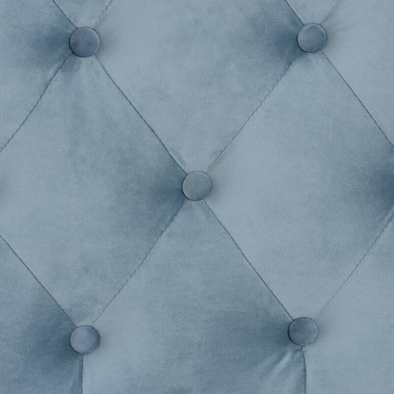 Benjamin Modern&Contemporary Light Blue Velvet Upholstered Wood Daybed