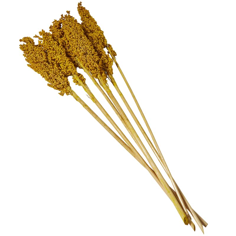 Yellow Dried Plant Corn Maze Home Decor Natural Foliage with Long Stems
