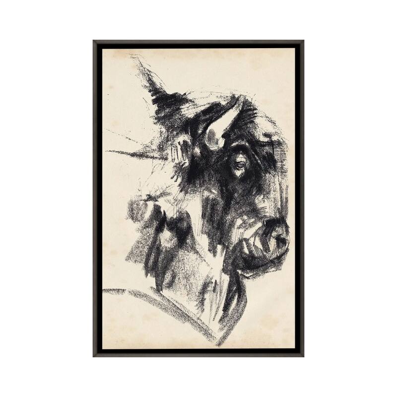 iCanvas "Bison Head Gesture I" by Jennifer Paxton Parker Framed - Charcoal - 48x32