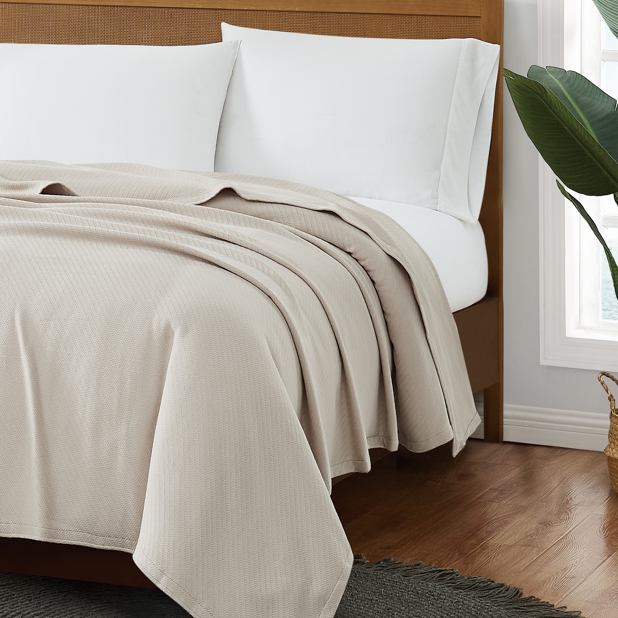 Cotton blankets on sale sale