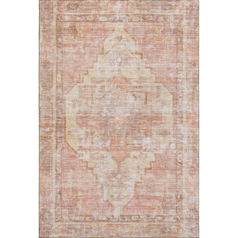 Premium Washable Super Soft Vintage Traditional Mayfield Rug