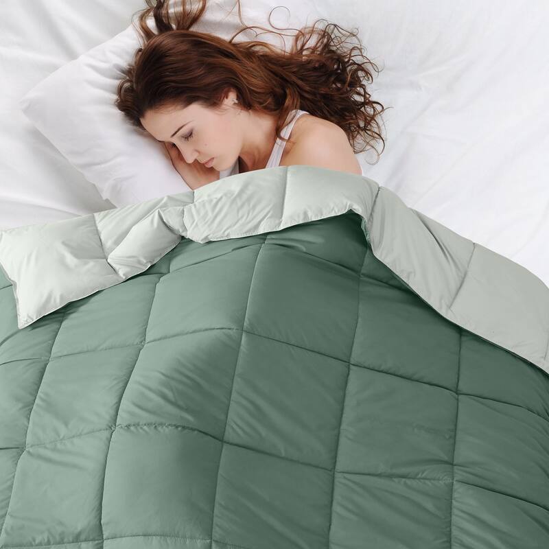 Modern Threads All-season Reversible Down Alternative Comforter