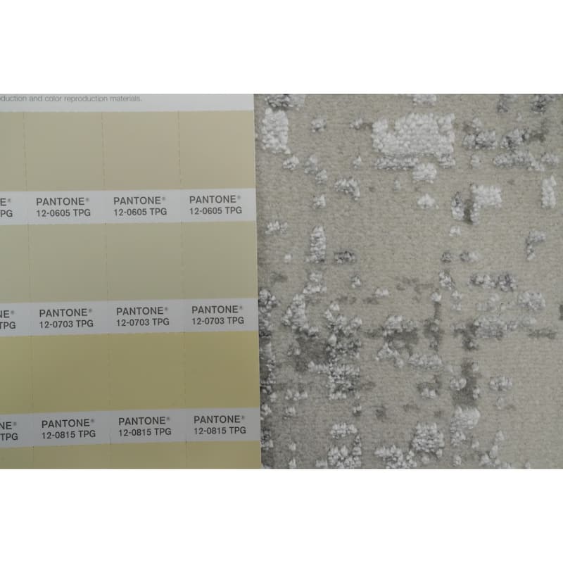 Machine Made Oriental Polyester Carpet Bordered Greys & Charcoal Distressed Area Rug - 7' 5'' X 5' 2''
