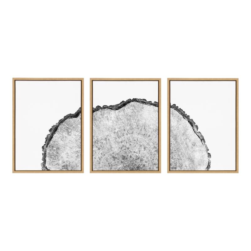 Kate and Laurel Sylvie Tree Rings Set Canvas by Emiko and Mark Franzen