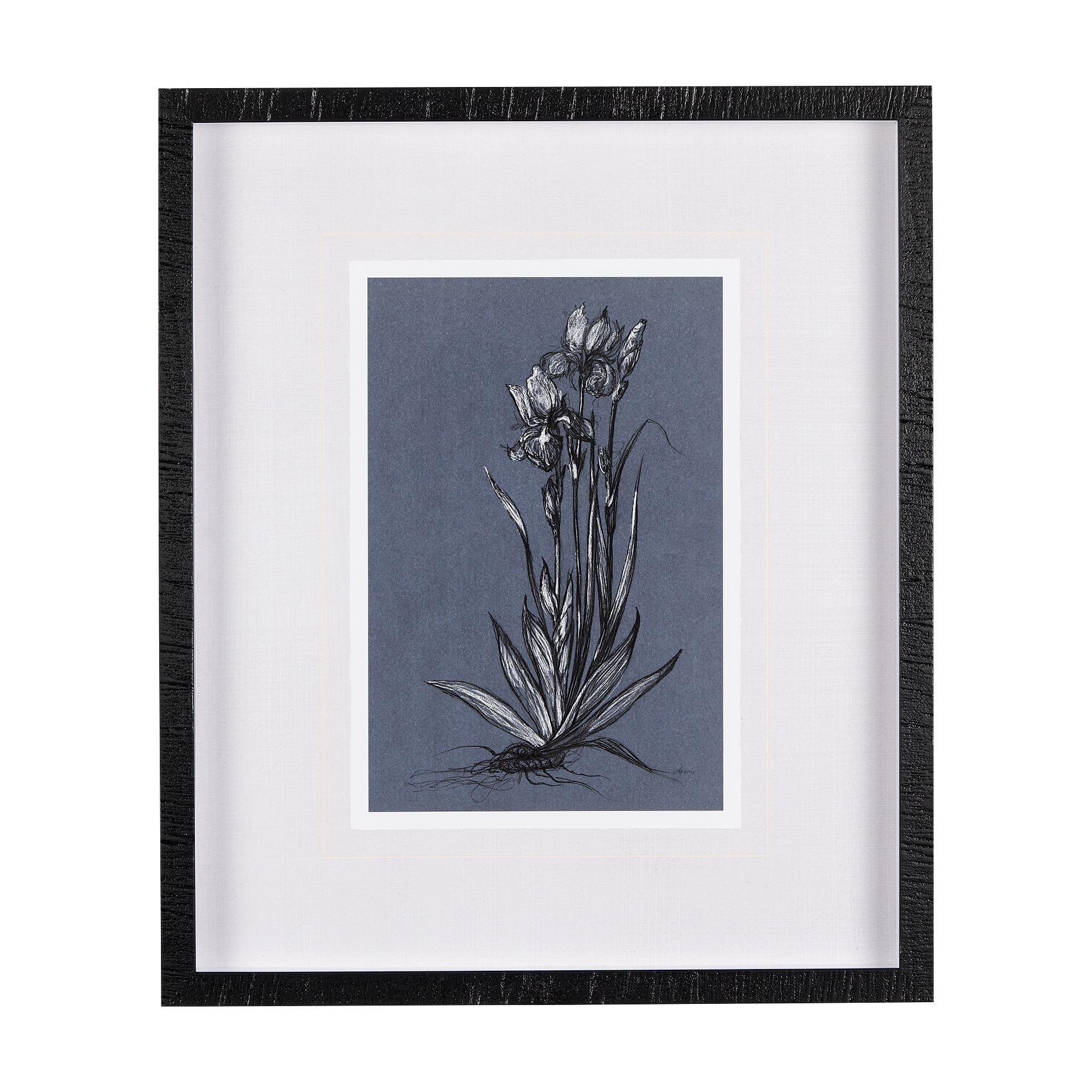Botanical sketches IV (Blue) by Mercana Studio Hand Embellished Framed Art Print Matted under Glass