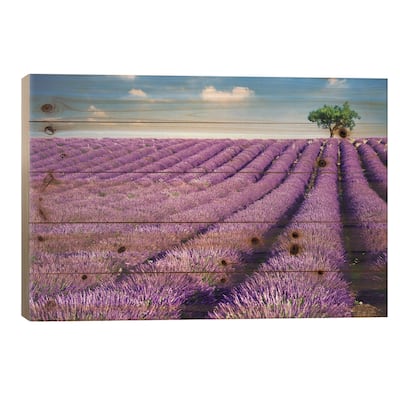 Lavender Field And Tree In Summer, Provence, France Print On Wood by Matteo Colombo - Multi-Color