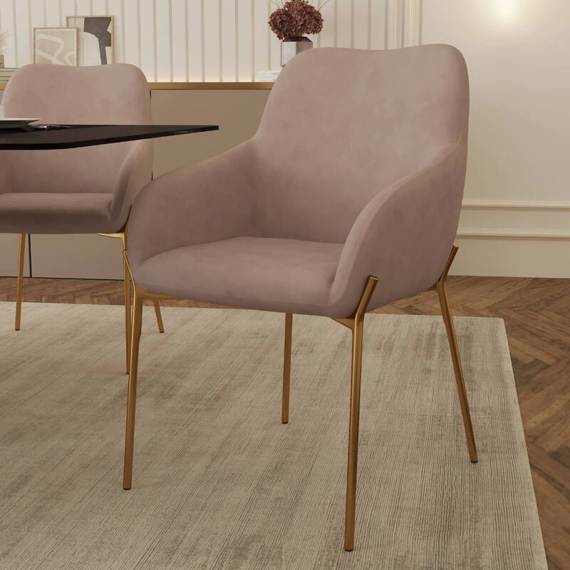 Zaire Upholstered Dining Chair in Velvet/Leather/Boucle with Gold Chrome Iron Set of 2