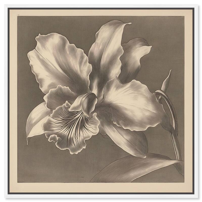 Petals Unfurled I Canvas by Art Remedy - 40" x 40" - White