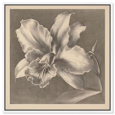 Petals Unfurled I Canvas by Art Remedy