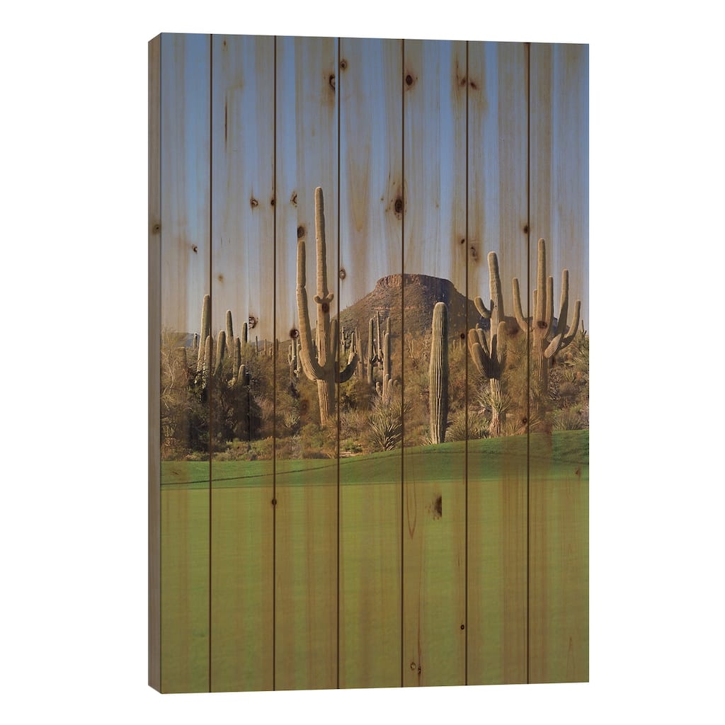 Saguaro cacti in a golf course, Troon North Golf Club, Scottsdale, Arizona, USA Print On Wood by Panoramic Images - Multi-Color