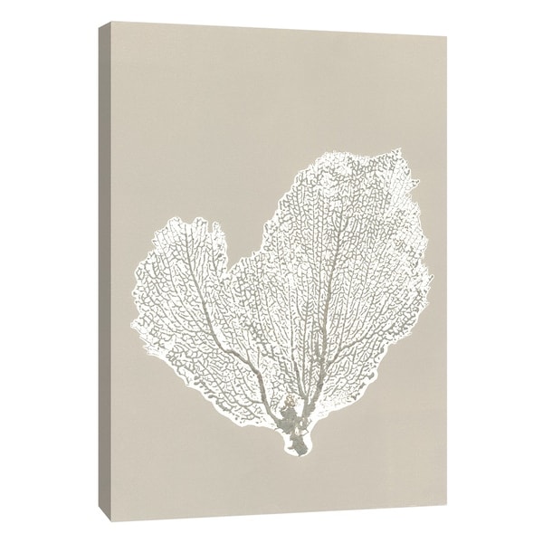 PTM Images 9-105219 PTM Canvas Collection 10" x 8" - "Sea Fan 4" Giclee Botanical Art Print on Canvas