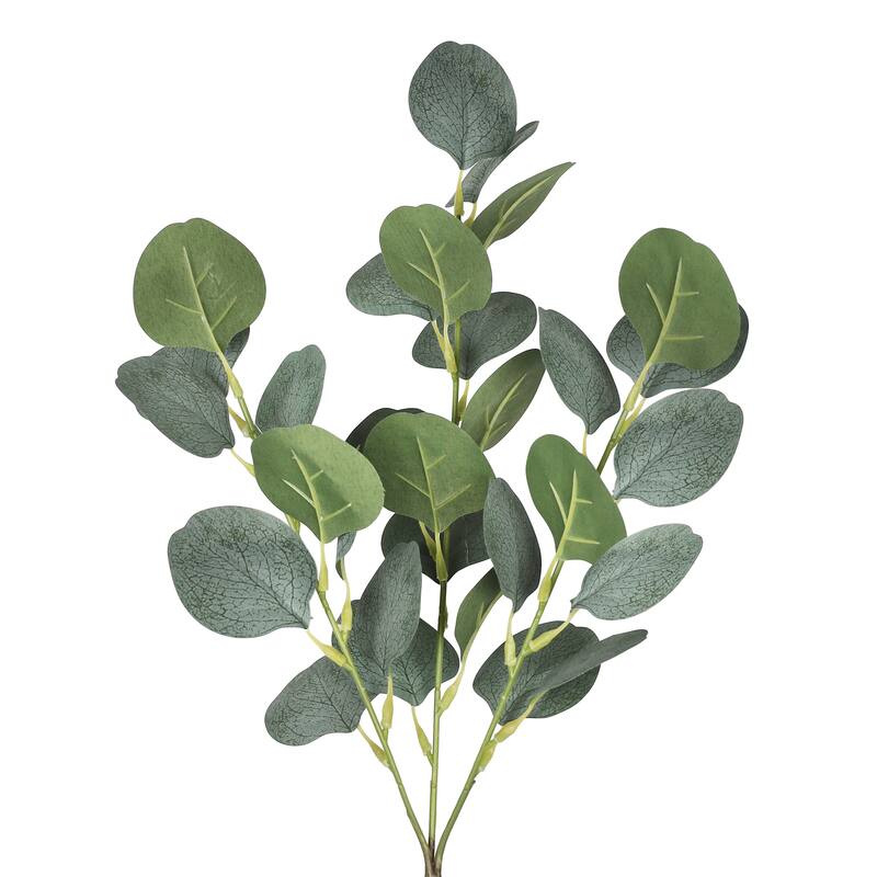 Set of 4 Frosted Green Artificial Silver Dollar Eucalyptus Leaf Stem Plant Greenery Foliage Spray Branch 25in - 25" L x 7" W x 7" DP - Frosted Green