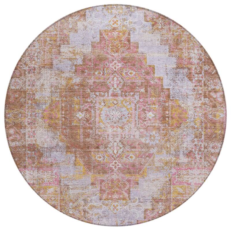 Machine Washable Indoor/Outdoor Traditional Global Chantille Rug