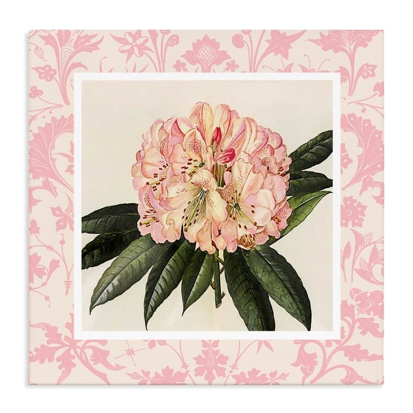 Stupell Pink Pattern Botanical Canvas Wall Art Design By Livi Finn ...