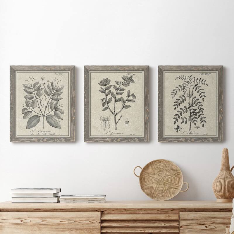 Antique Black & White Botanical VII-Premium Framed Canvas - Ready to Hang - Multi-Color