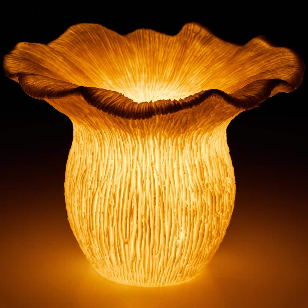 Aria Home Mushroom table lamp modern ambient cozy lighting