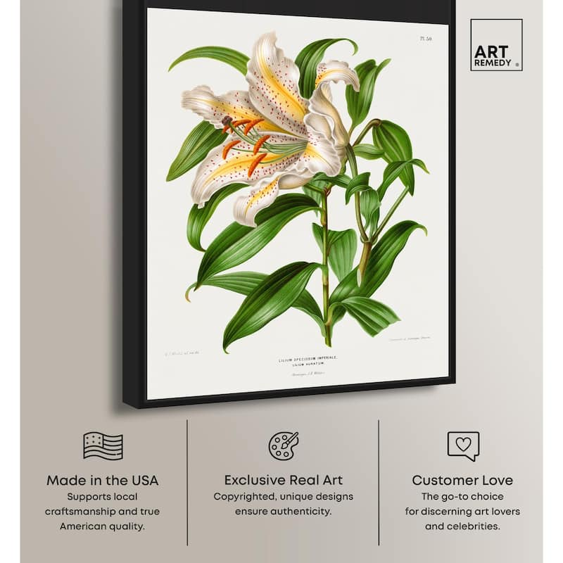 Lilium Speciosum Imperiale Canvas by Art Remedy