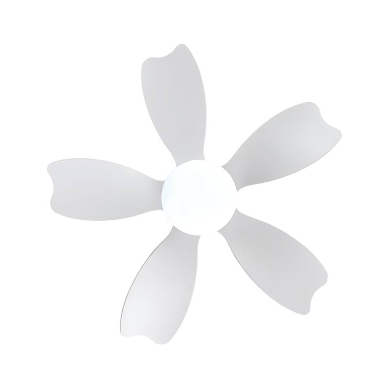 30 In Small Kids's Ceiling Fan Lighting with Remote Control for Small Children's Room