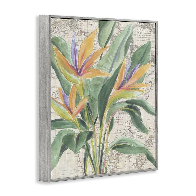 Stupell Bird of Paradise over Map Framed Giclee Art Design By June Erica Vess