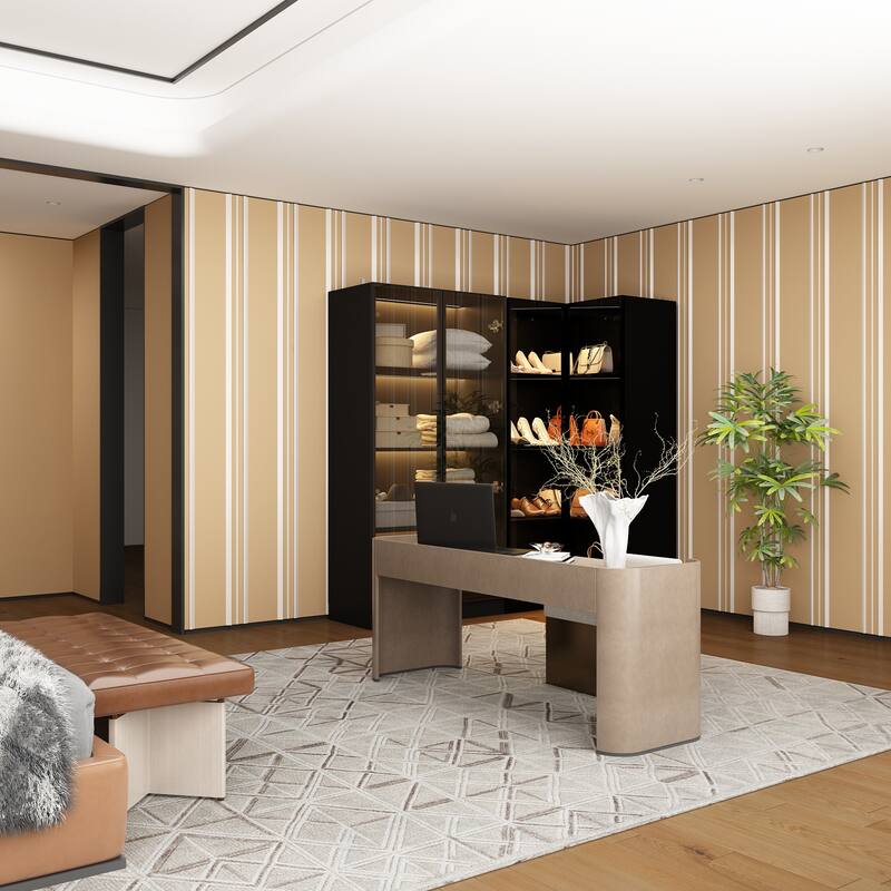 Black Glass Door Combo Wardrobe with Multi-Color Light Strips