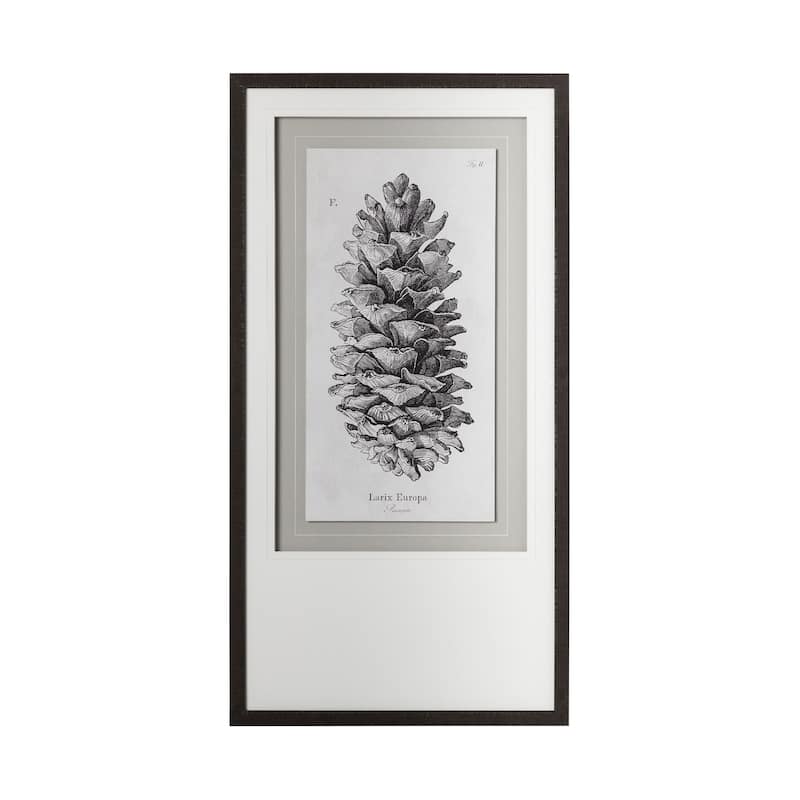 Larix Europa Framed Art Print