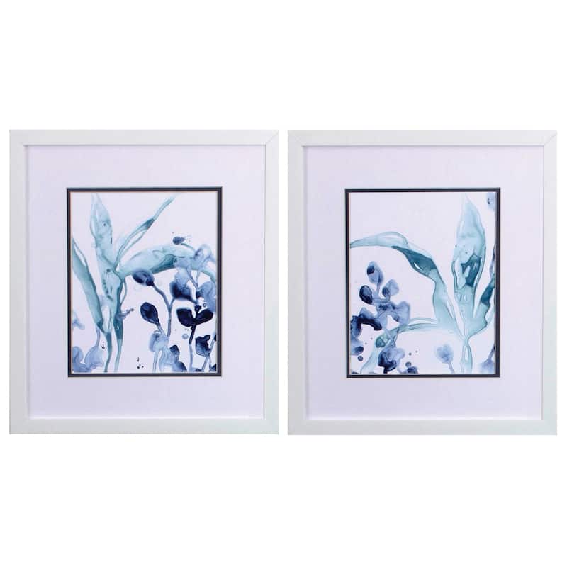 Blue Kelp S/2 Framed Art Under glass - 16 X 14 X 1