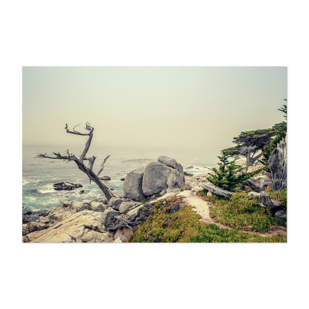 Carmel by the Sea California Ghost Tree Photography Art Print/Poster
