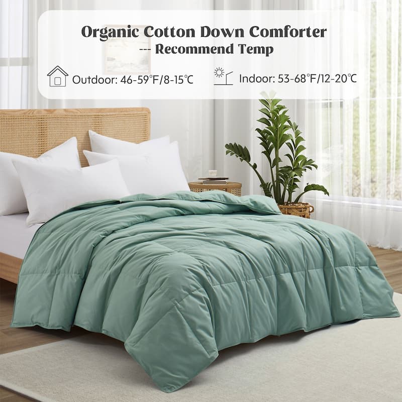 All Season 100% Organic Cotton Down Breathable Duvet Insert Medium Warmth Comforter