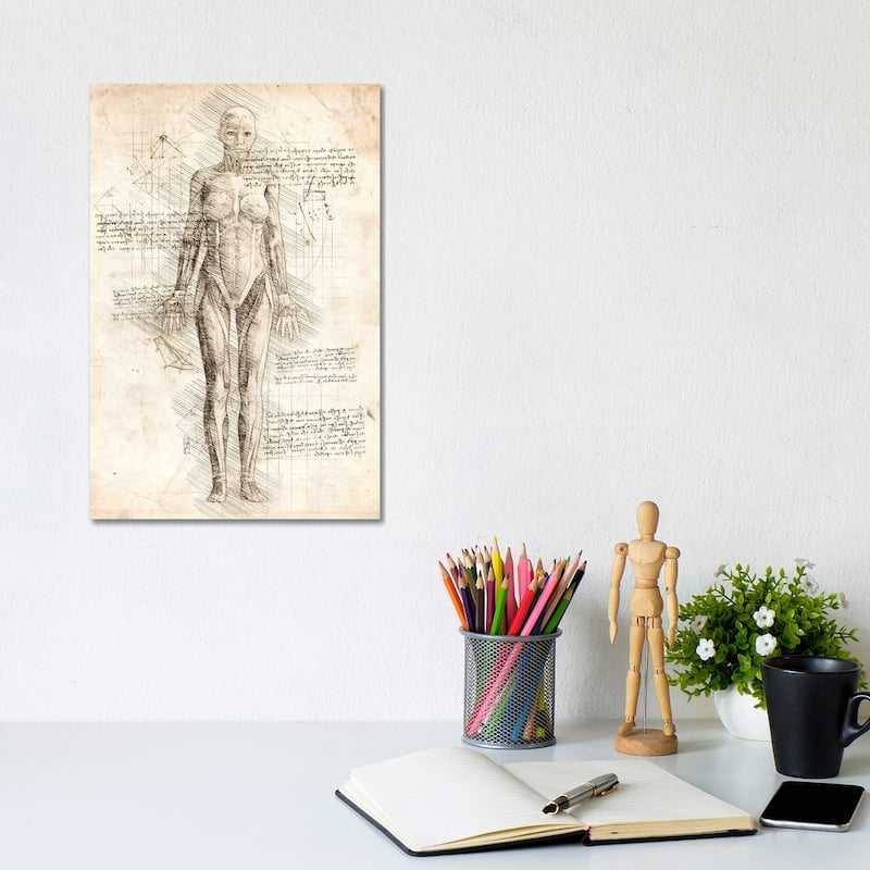 iCanvas "Human Female Muscles Anatomy" by Cornel Vlad Canvas Print - 12x8x0.75