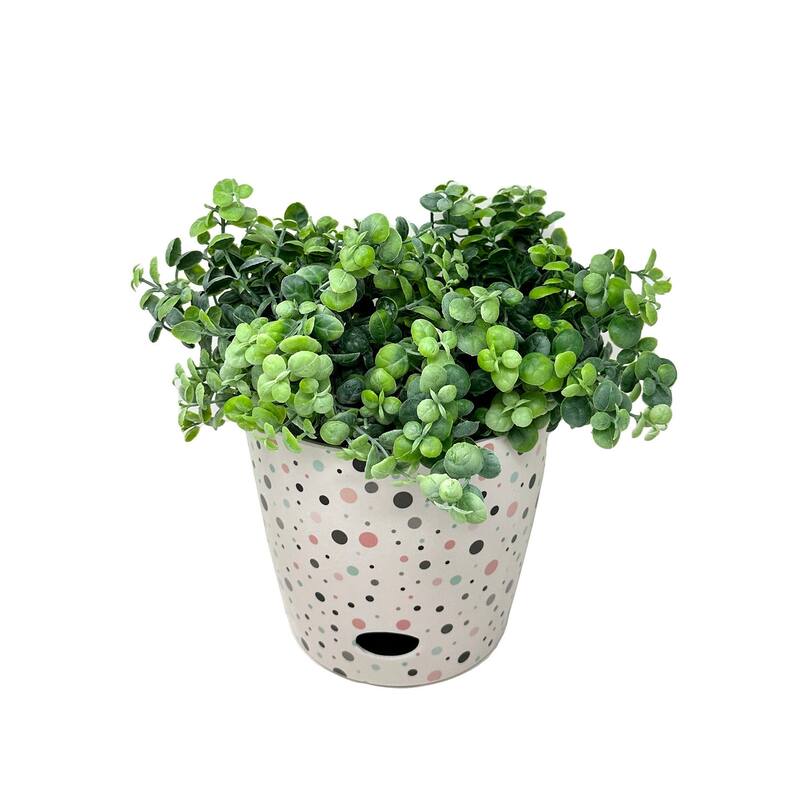 7" Round Self-Watering Indoor/Outdoor Bamboo Pots - Dots