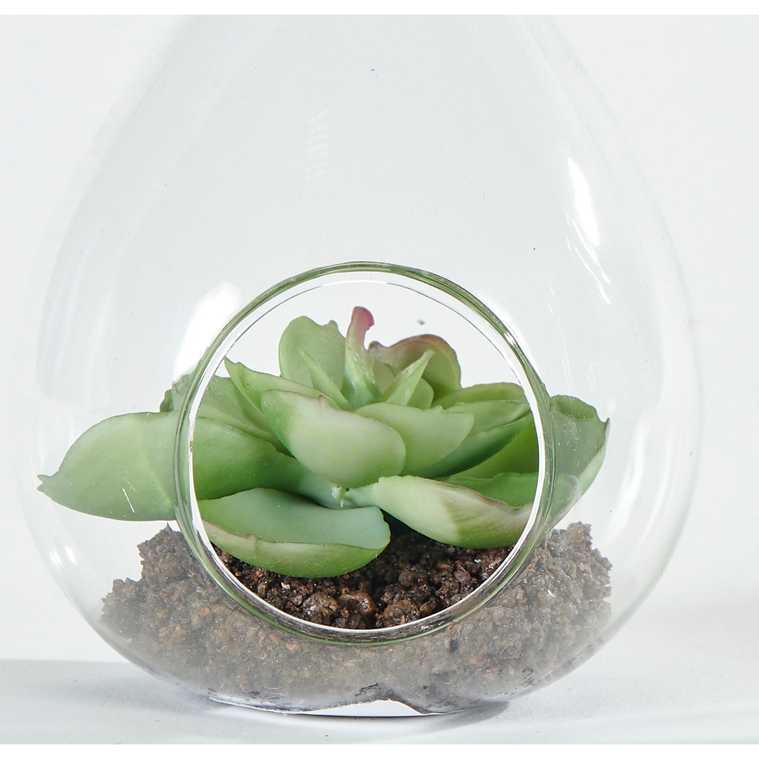 4.5" Artificial Succulent in Hanging Or Tabletop Glass Vase Terrarium, Set  of 2 - 4.5 - Overstock - 40391003