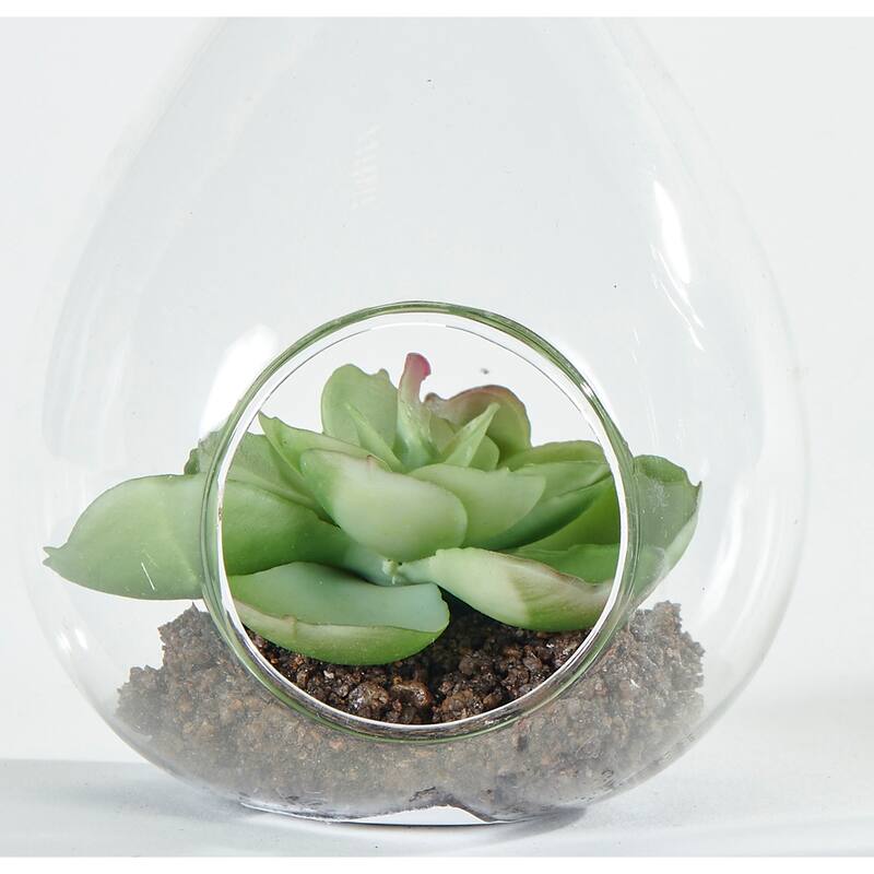 4.5" Artificial Succulent in Hanging Or Tabletop Glass Vase Terrarium, Set of 2 - 4.5