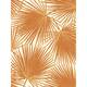 Option Tangerine and White
