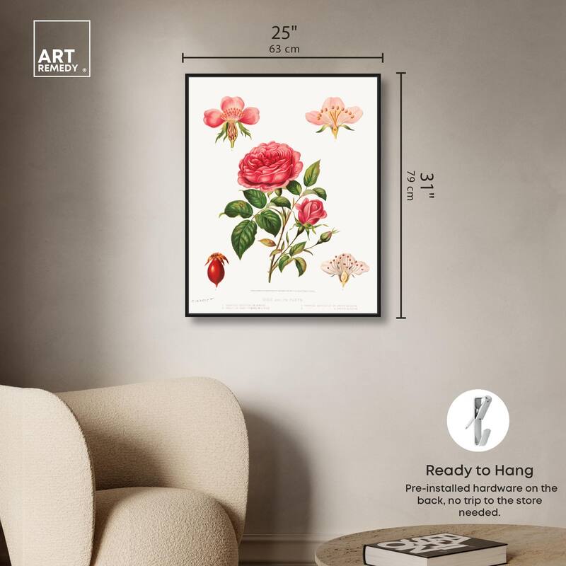 Rose and its parts (1872) Canvas by Art Remedy