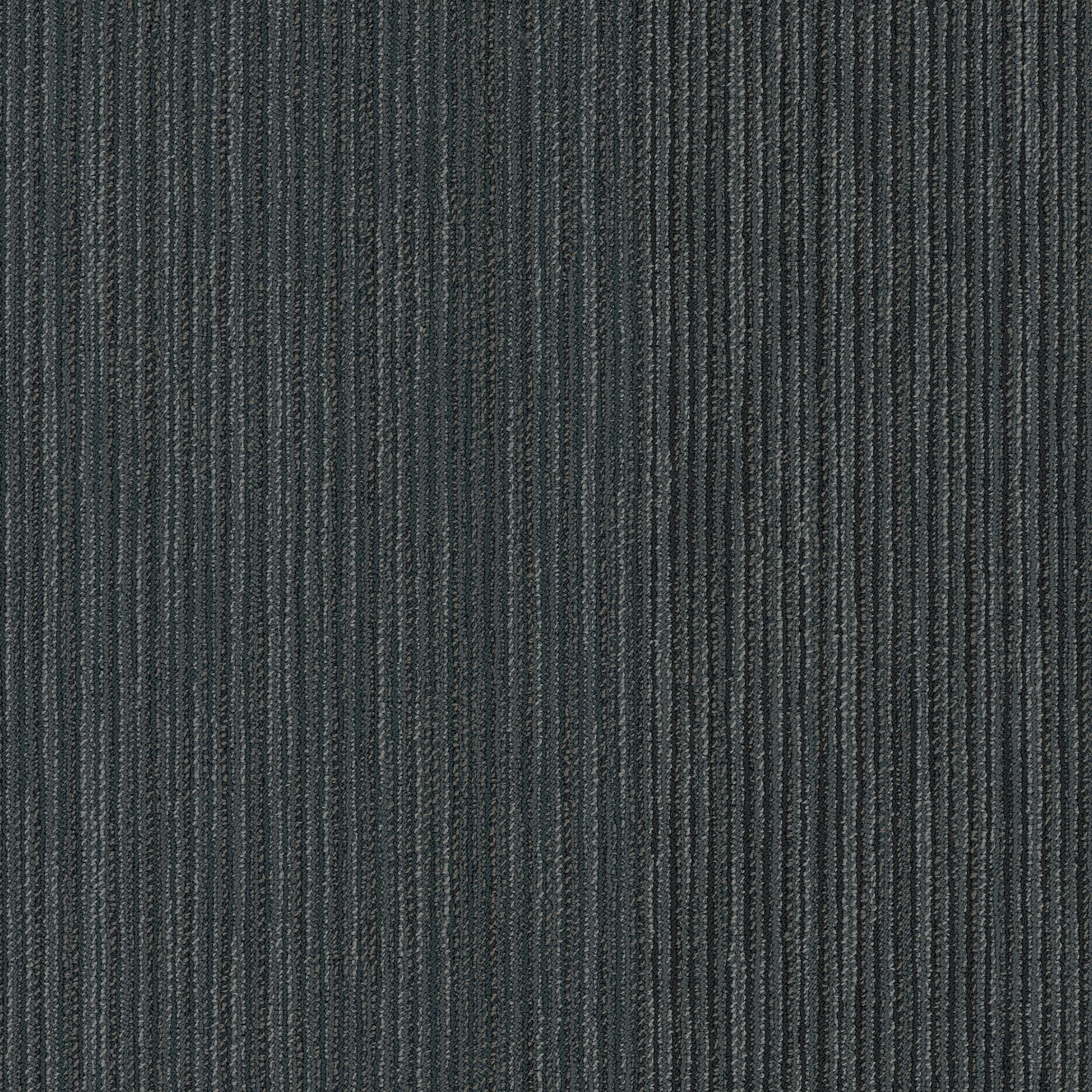 Shaw Philadelphia Commercial Document 24" x 24" Glue Down Carpet Tile