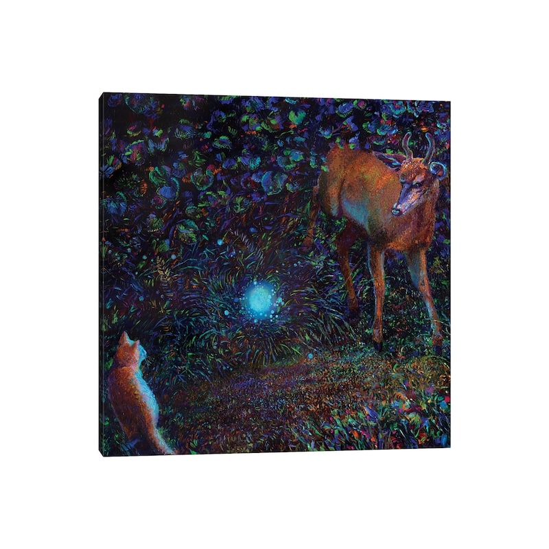 iCanvas "The Visitor" by Iris Scott Canvas Print