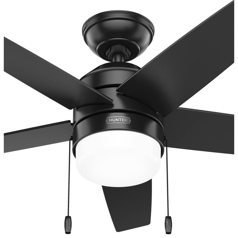 Hunter Bardot Ceiling Fan with LED Light Kit and Pull Chain, Modern, Contemporary, Transitional