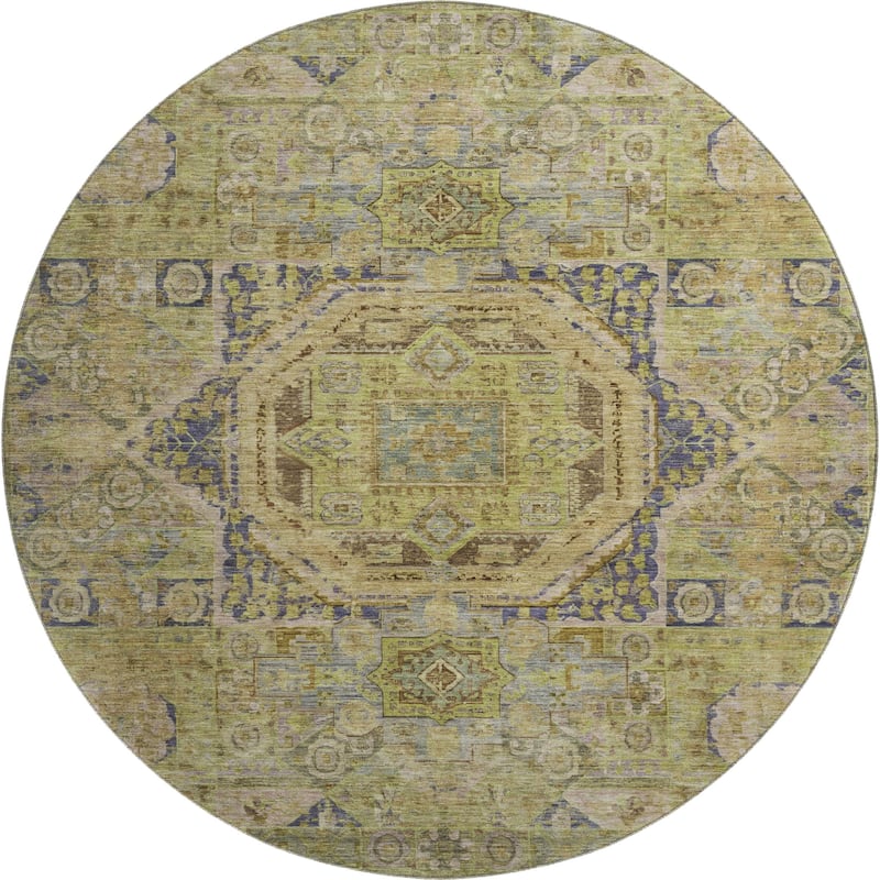 Premium Washable Super Soft Vintage Traditional Mayfield Rug