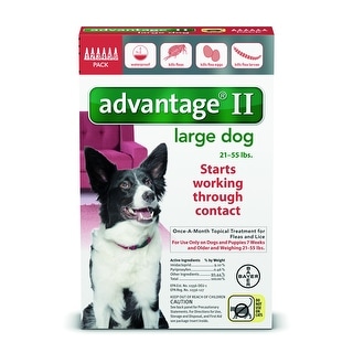 Shop Advantage Ii For Dogs 21 55 Lbs 6 Pack Overstock 18075759