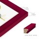 preview thumbnail 112 of 138, The Minimalist Garden II -Framed Print w/glass-Cherry Red